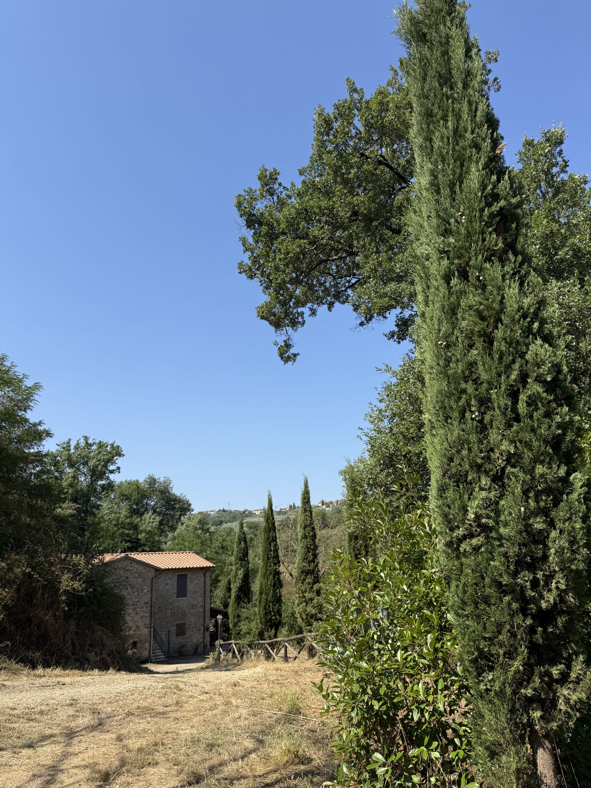 Area circostante