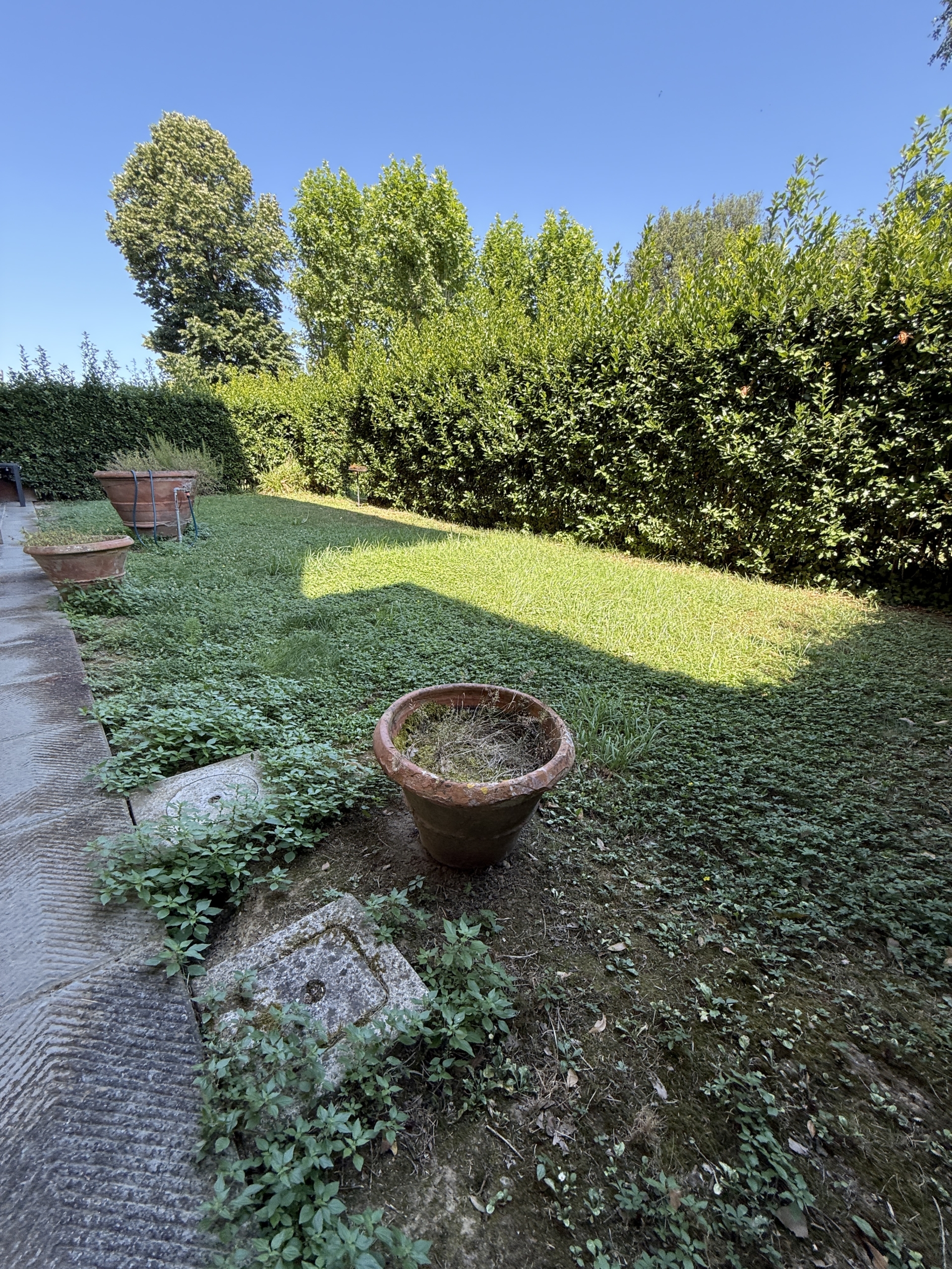Giardino1