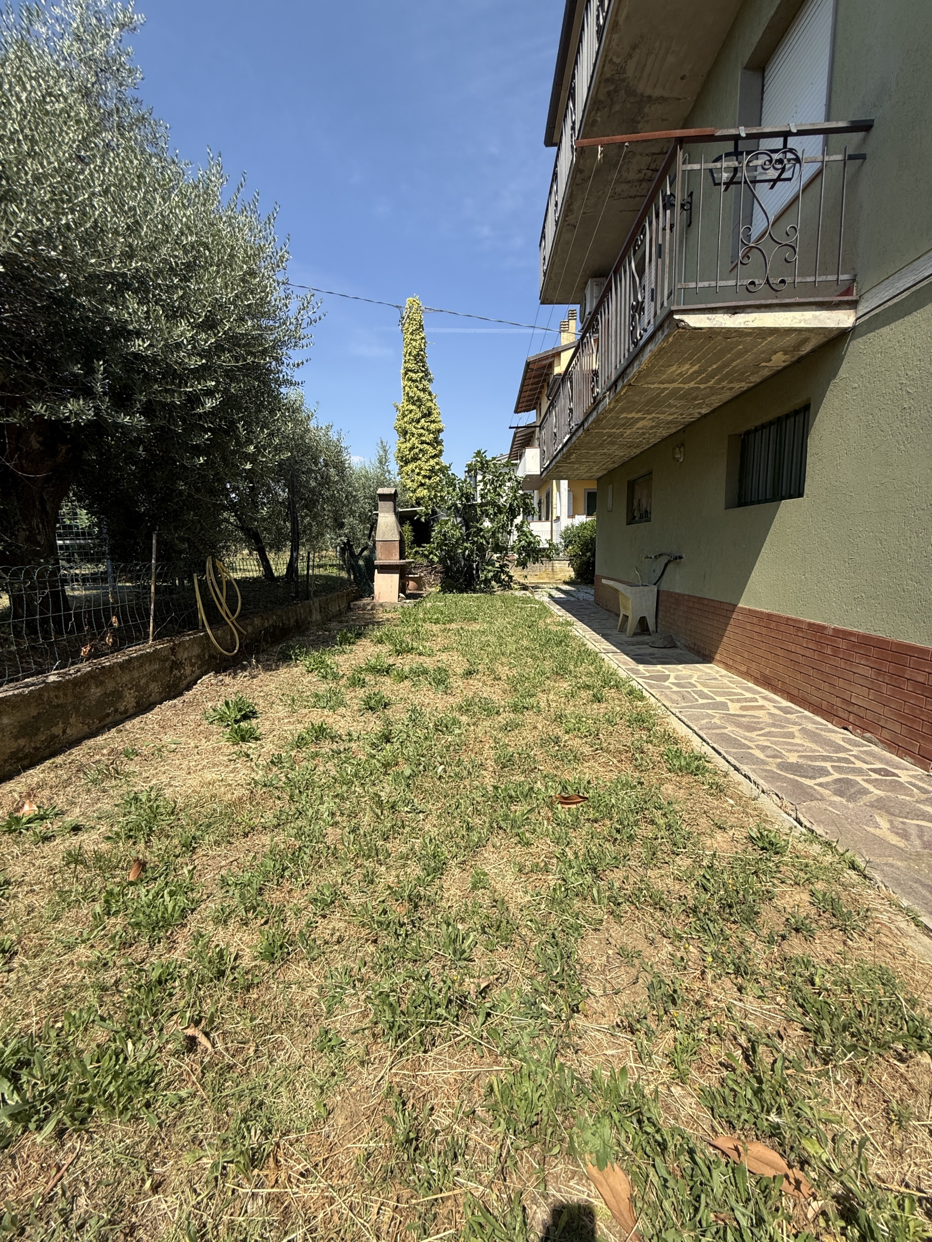 Resede laterale1