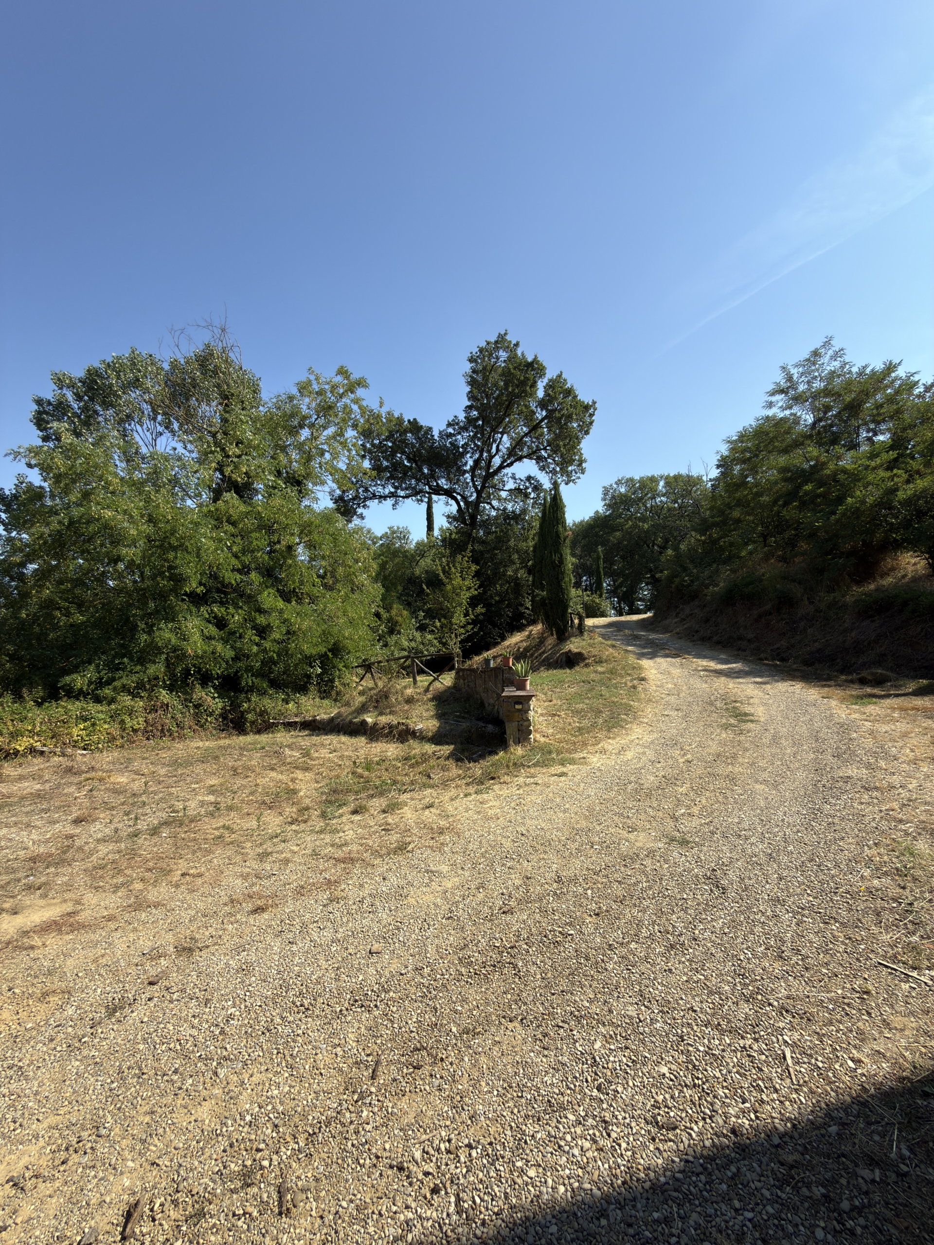 Vialetto ingresso