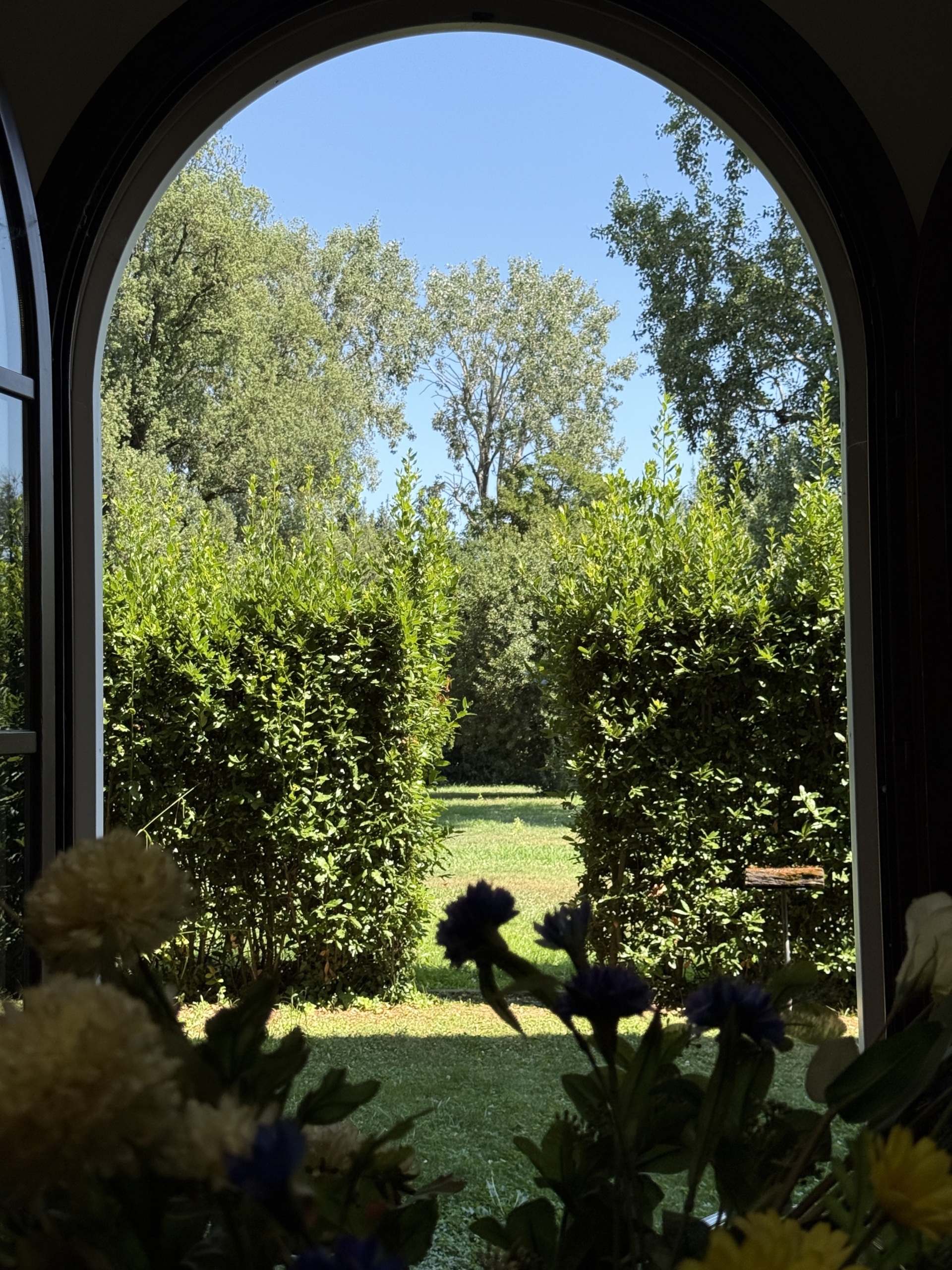 Vista giardino