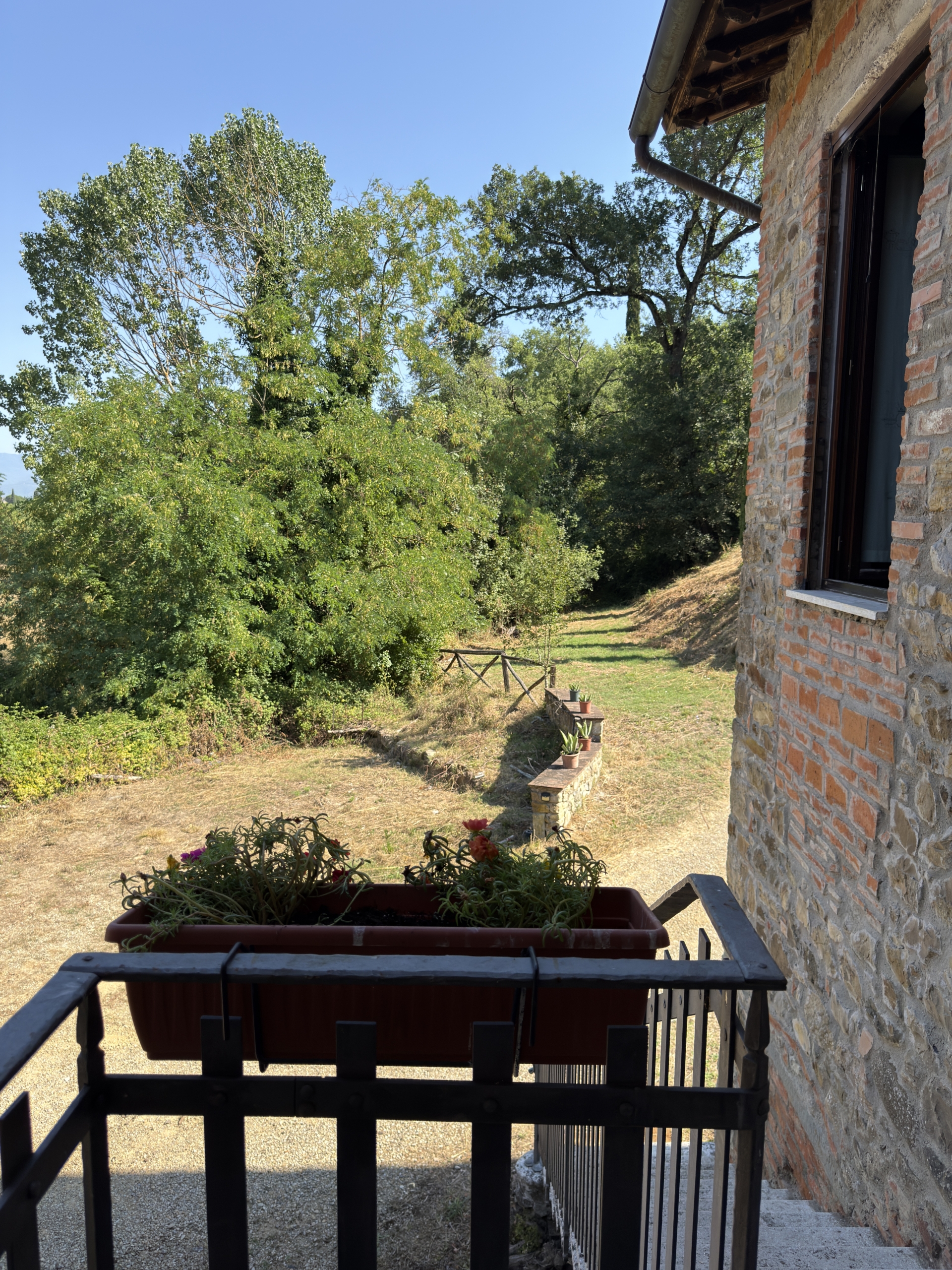 Vista ingresso