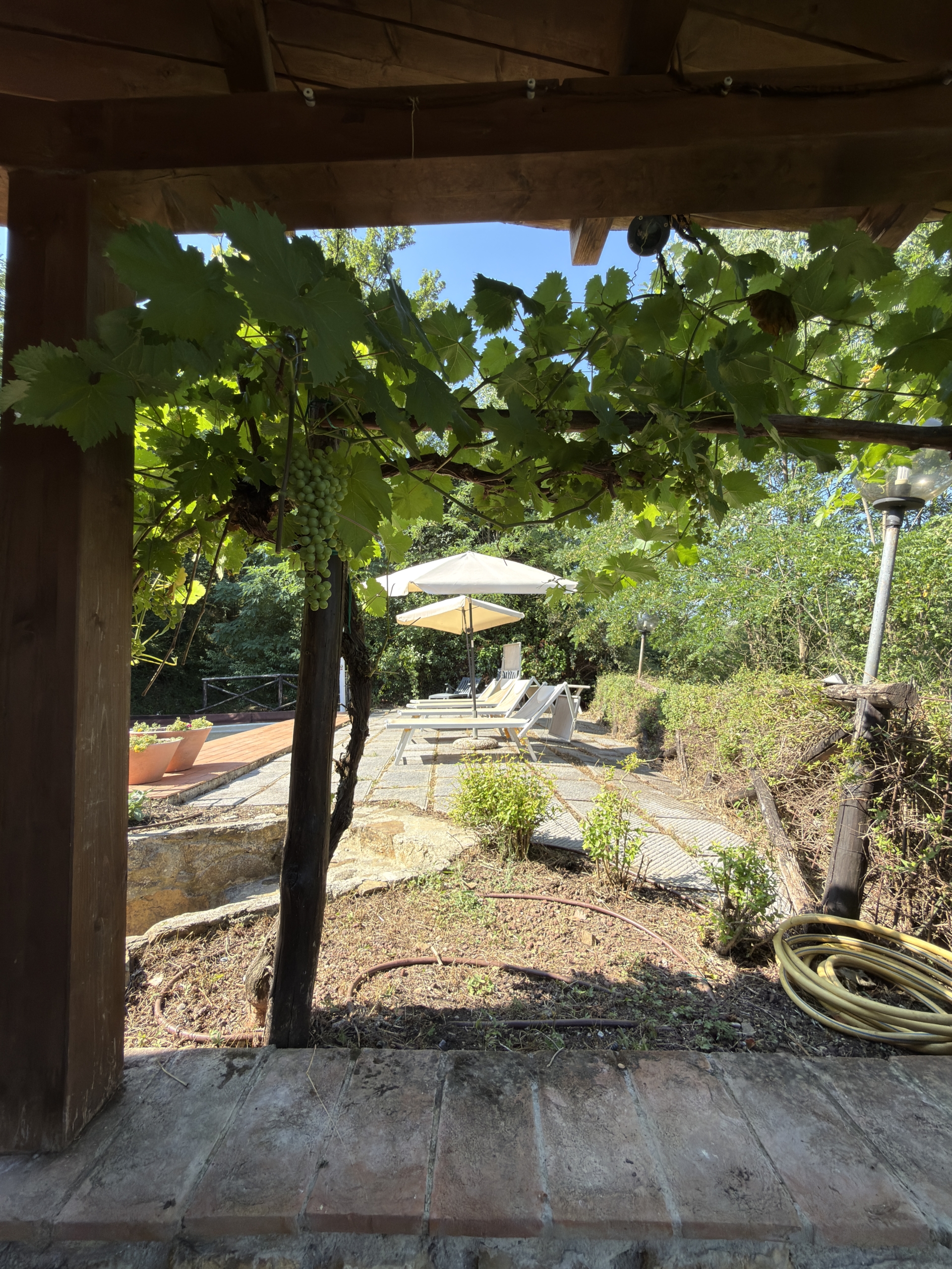 Vsta solarium
