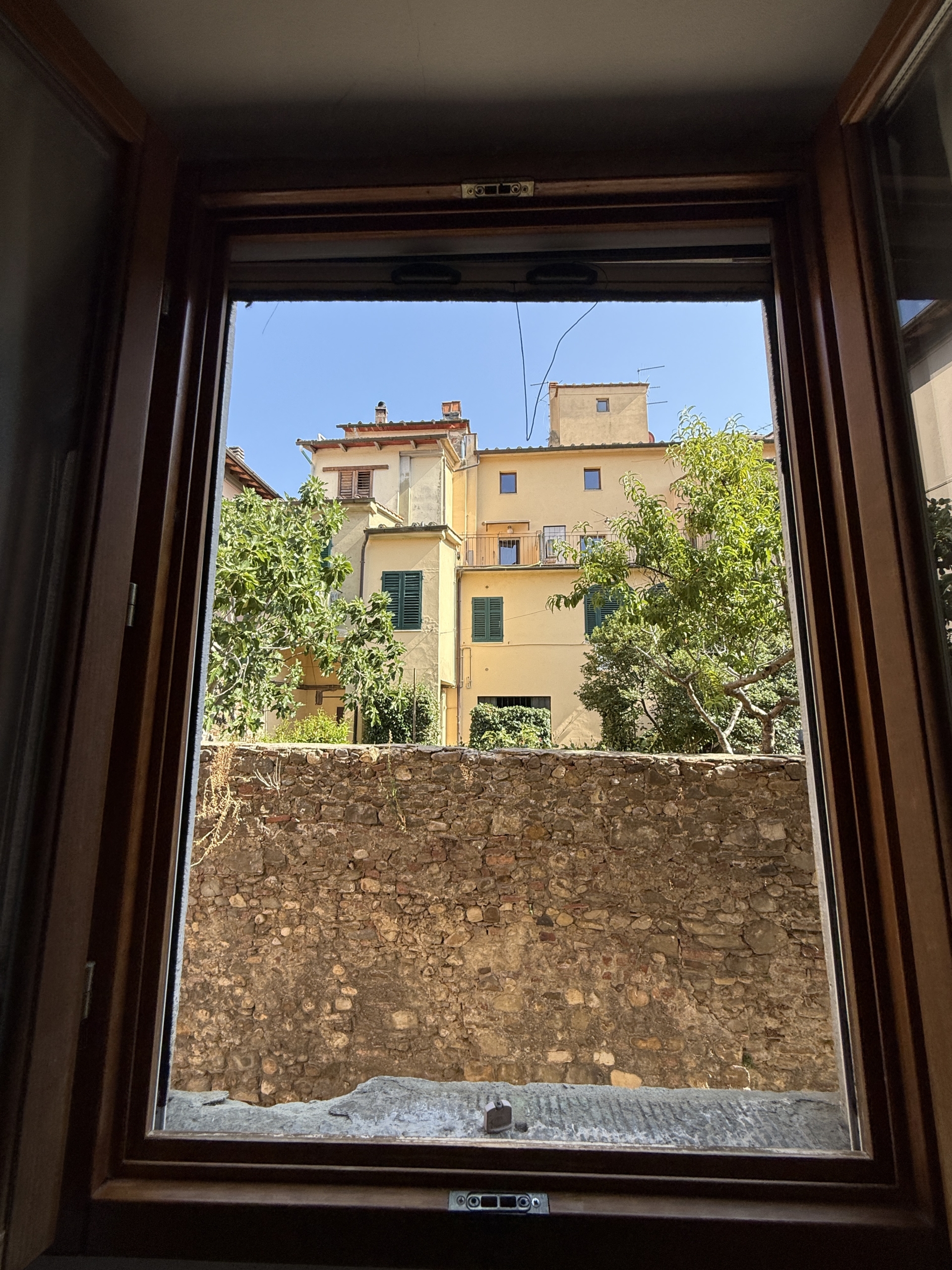 Vista camera